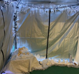 Father Christmas comes to Greenway! 10th December 2021