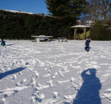 Greenway in the snow, 25.01021