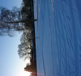 Greenway in the snow, 25.01021