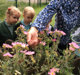 Nursery Summer 1 2022