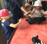 Nursery Visit to Meade Open Farm, July 2019