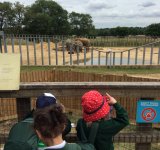 Reception visit to Whipsnade Zoo, 30th June 2022
