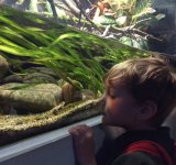 Reception visit to Whipsnade Zoo, 30th June 2022
