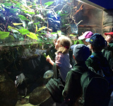 Reception visit to Whipsnade Zoo, 30th June 2022