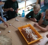 Science Day, Beech, May 2018