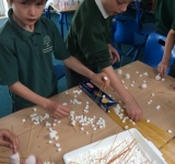 Science Day, Beech, May 2018