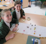 Science Day May 2019