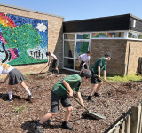 Wildflower Meadow Project, 29.04.25