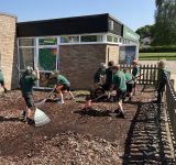Wildflower Meadow Project, 29.04.25