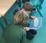 World Book Day 2023, Pine