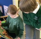World Book Day 2023, Pine