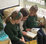 World Book Day 2023, Pine