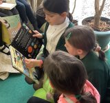 World Book Day 2023, Pine