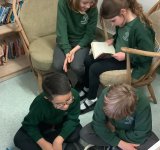 World Book Day 2023, Pine