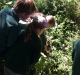 Year 2 Minibeast Hunt, May 2018