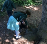 Year 2 Minibeast Hunt, May 2018