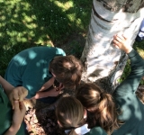 Year 2 Minibeast Hunt, May 2018