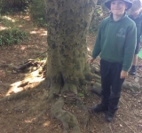 Year 2 Minibeast Hunt, May 2018
