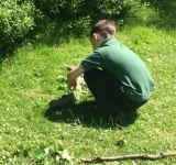Year 2 Minibeast Hunt, May 2018