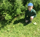 Year 2 Minibeast Hunt, May 2018