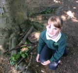 Year 2 Minibeast Hunt, May 2018