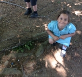 Year 2 Minibeast Hunt, May 2018