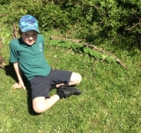 Year 2 Minibeast Hunt, May 2018