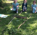 Year 2 Minibeast Hunt, May 2018