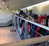 Year 3 Trip to the Verulamium Museum, 22.10.18