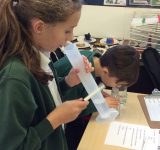 Year 4 Science