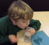 Year 4 Science