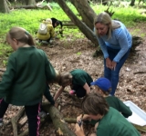 Yr 2 visit to Ashridge, 7.6.18
