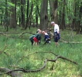 Yr 2 visit to Ashridge, 7.6.18